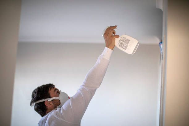 Professional Mold Removal in Homewood, IL