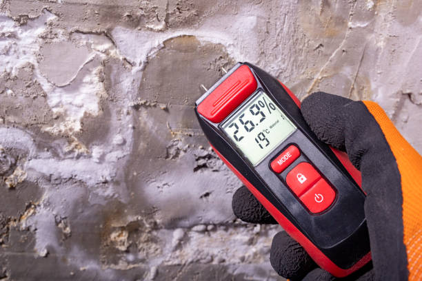 Best Mold Removal Near Me  in Homewood, IL