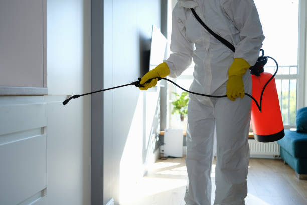 Best Mold Testing  in Homewood, IL
