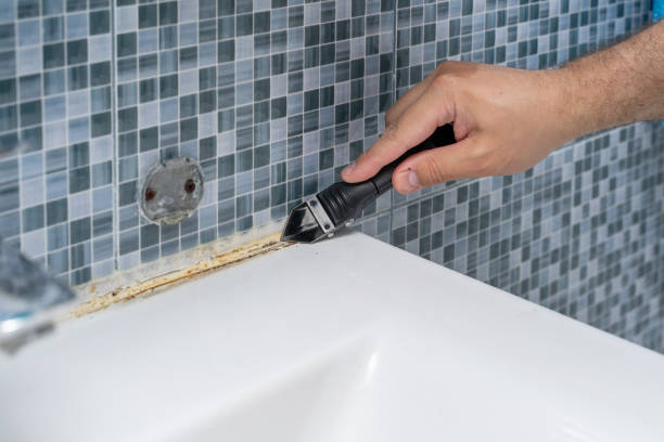 Best Home Mold Removal  in Homewood, IL