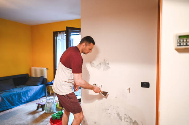 Best Office Mold Removal Services  in Homewood, IL